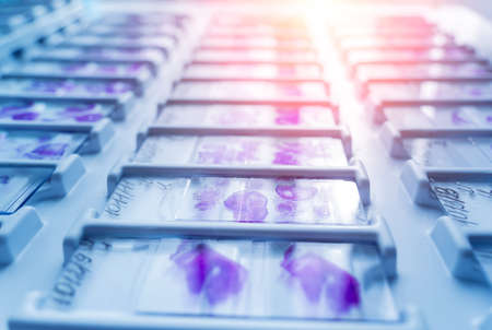 Rows of microscope glass slide in the cellsの写真素材