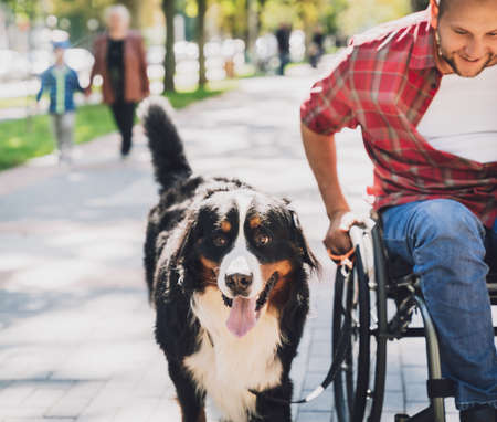 Happy young man with a physical disability who uses wheelchair with his dog.の写真素材