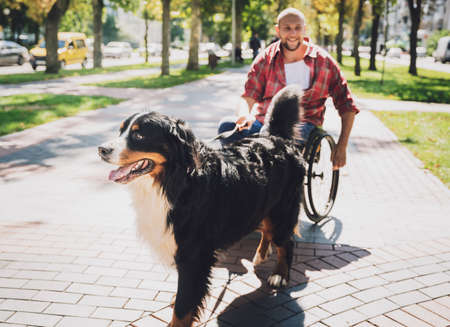 Happy young man with a physical disability who uses wheelchair with his dog.の写真素材