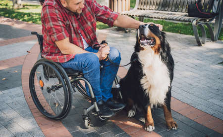 Happy young man with a physical disability who uses wheelchair with his dog.の写真素材