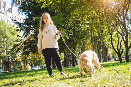 The owner plays the golden retriever dog in the park.の写真素材