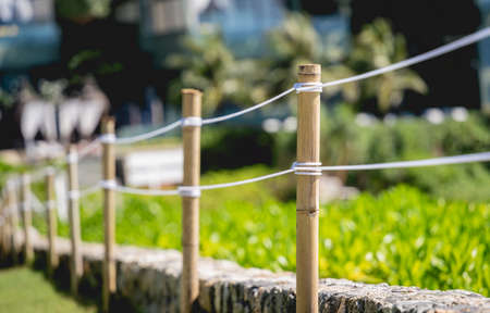 Luxury landscape design of the summer gardenの写真素材