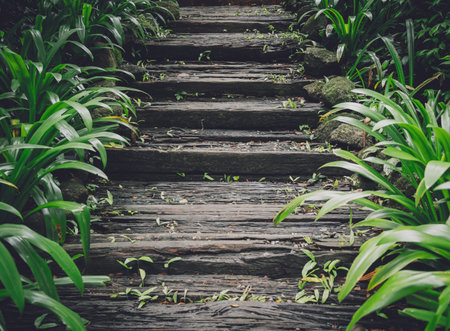 Old rustic wooden stairs in the garden