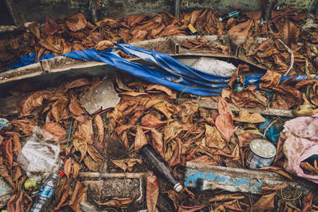 The texture of dry autumn brown leaves on the groundの写真素材
