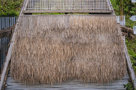 Background and texture of bamboo wall or fenceの写真素材