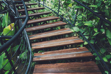 Old rustic wooden stairs in the gardenの写真素材