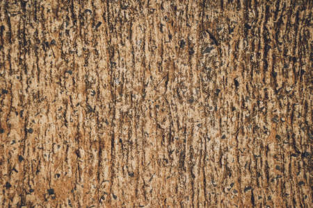 Background and texture of old stoned wallの写真素材