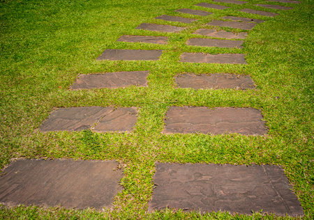 Luxury landscape design of the summer gardenの写真素材