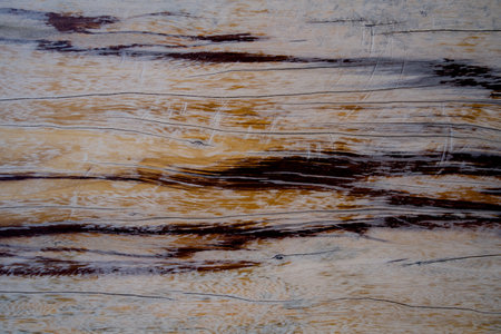 Background and texture of old wooden boatの写真素材