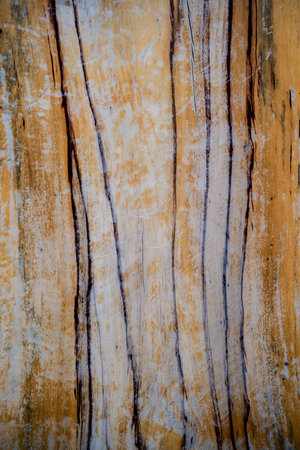 Background and texture of old wooden boat