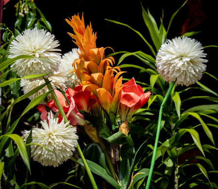 Flowers on the bush at summer teracce in the garden.の写真素材