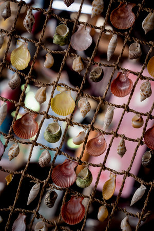 Wall decorated with scallop shells in a rowの写真素材