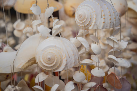 Handmade souvenir decorated with different sea shellsの写真素材