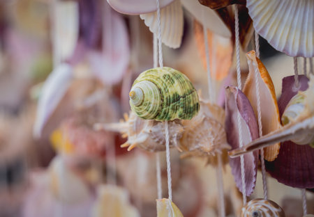 Handmade souvenir decorated with different sea shellsの写真素材