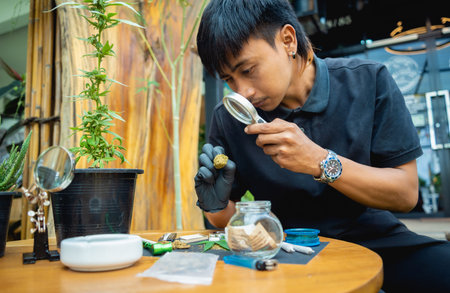 A young man examines under a magnifying glass the joints and buds of medical marijuana