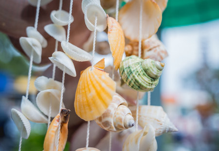 Handmade souvenir decorated with different sea shellsの写真素材