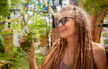 Hippie style woman growing medical marijuana bushの写真素材