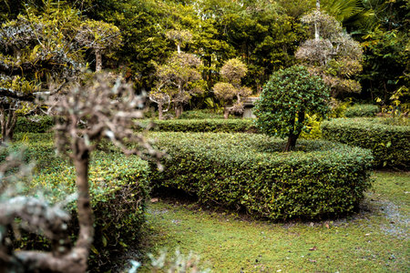 Luxury landscape design of the tropical garden