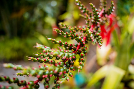 Green leafs on blurred background in garden.の写真素材
