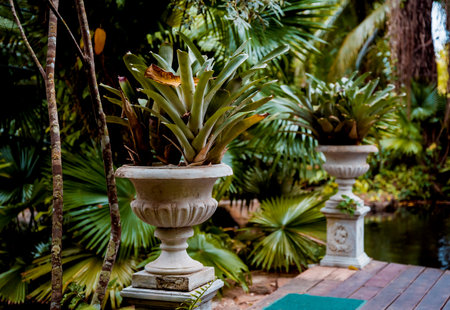 Luxury landscape design of the tropical gardenの写真素材