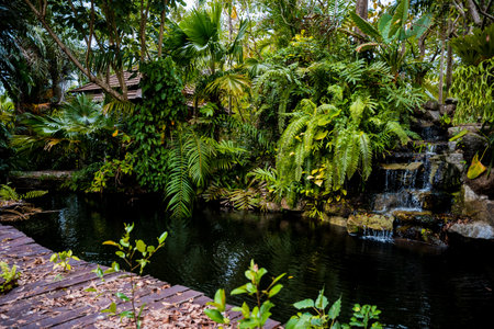 Luxury landscape design of the tropical gardenの写真素材