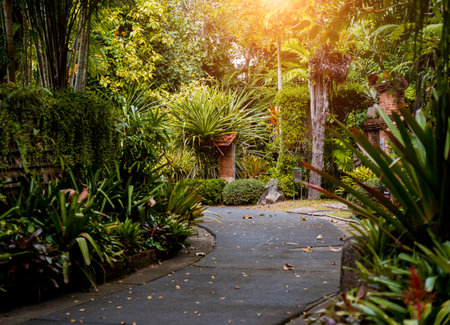 Luxury landscape design of the tropical gardenの写真素材