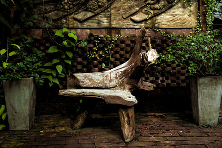 Luxury landscape design of the tropical gardenの写真素材