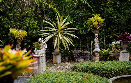 Luxury landscape design of the tropical gardenの写真素材