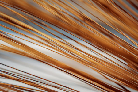 The texture of dry palm leaves on the groundの写真素材