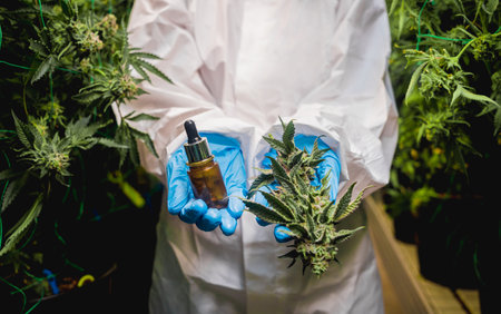 Female researcher examine cannabis oil in a greenhouse.の写真素材