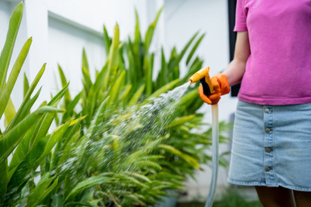 A young woman takes care of the garden, waters, fertilizes and prunes plantsの写真素材
