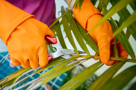 A young woman takes care of the garden, waters, fertilizes and prunes plants