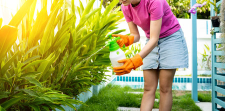 A young woman takes care of the garden, waters, fertilizes and prunes plants