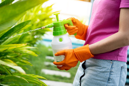 A young woman takes care of the garden, waters, fertilizes and prunes plantsの写真素材