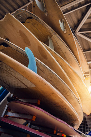 A variety of surfboards are neatly displayed on a stand