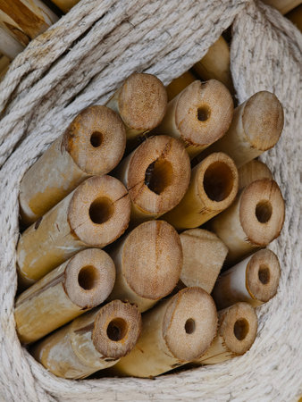 A detailed view of a wooden bamboo ceiling with perforations