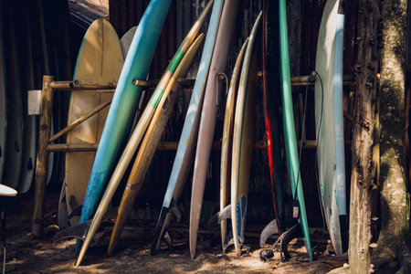 A variety of surfboards are neatly displayed on a standの写真素材