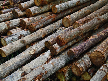 Logs are neatly piled on top of one another, forming a stack