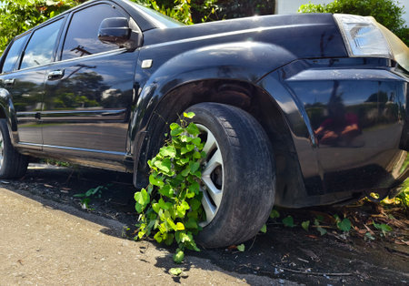 A black car that has a broken tire and is covered with leavesの写真素材