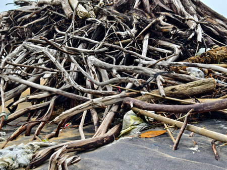 large pile consisting of branches and twigs located on the beach