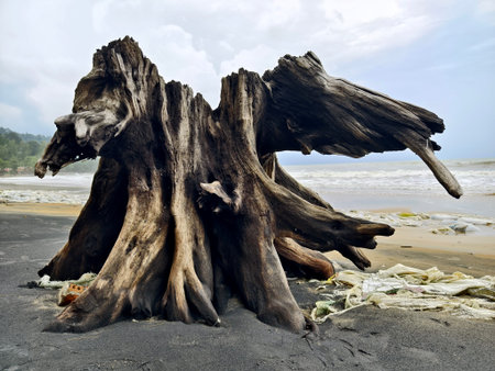 A large pile of driftwood is resting on top of a sandy beach