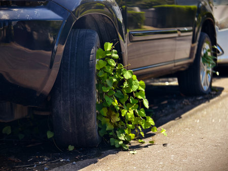 A black car that has a broken tire and is covered with leaves
