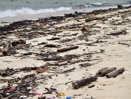 A beach heavily littered with wood and plastic