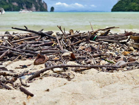 A beach heavily littered with wood and plastic