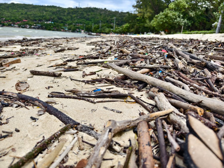 A beach heavily littered with wood and plasticの写真素材