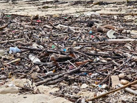 A beach heavily littered with wood and plasticの写真素材