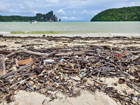 A beach heavily littered with wood and plasticの写真素材