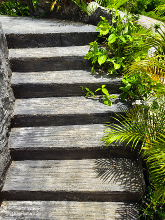 Stone staircase in a beautifully designed garden by an array of vibrant plants and colorful flowersの写真素材