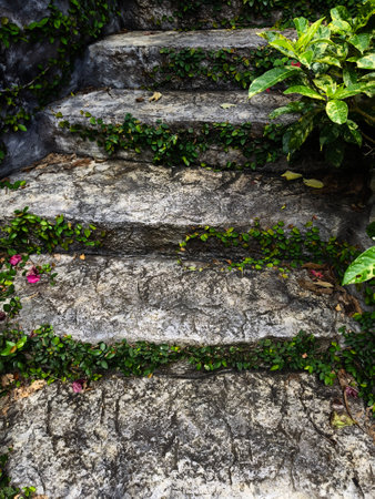 Stone staircase in a beautifully designed garden by an array of vibrant plants and colorful flowersの写真素材