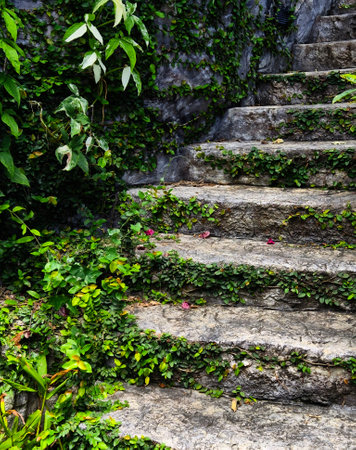 Stone staircase in a beautifully designed garden by an array of vibrant plantsの写真素材